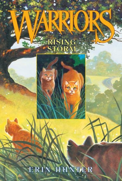 Rising Storm - Warriors Series : Book 4.