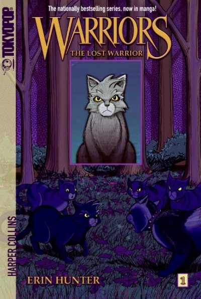 The lost warrior (Book #1) [Paperback]