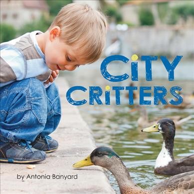 City critters / Antonia Banyard.