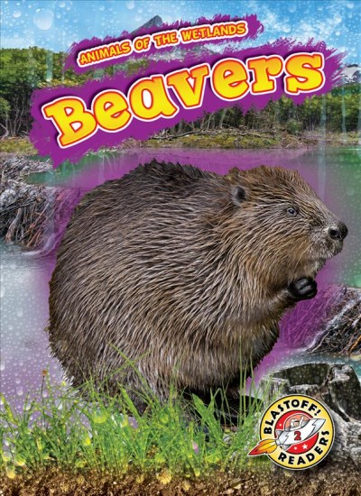 Beavers / by Rachel Grack.