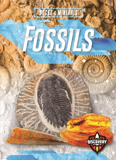 Fossils / by Patrick Perish.