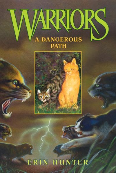 A Dangerous Path : v.5 : Warriors / Erin Hunter.