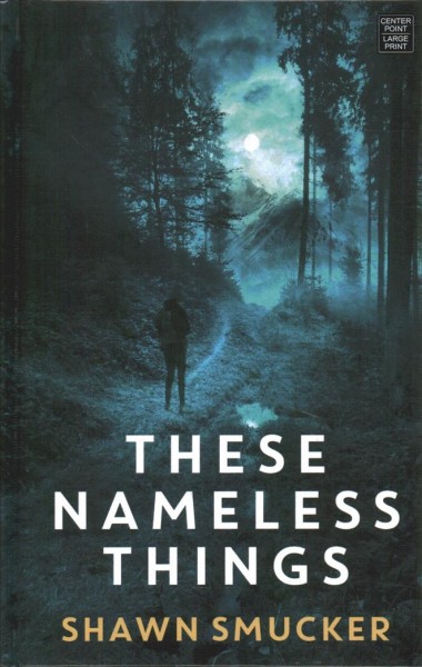 These nameless things / Shawn Smucker.