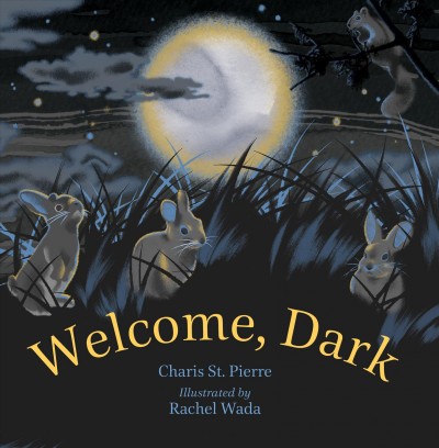 Welcome, dark / Charis St. Pierre ; illustrated by Rachel Wada.