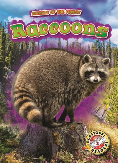 Raccoons / by Al Albertson.