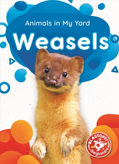 Weasels / by Amy McDonald.