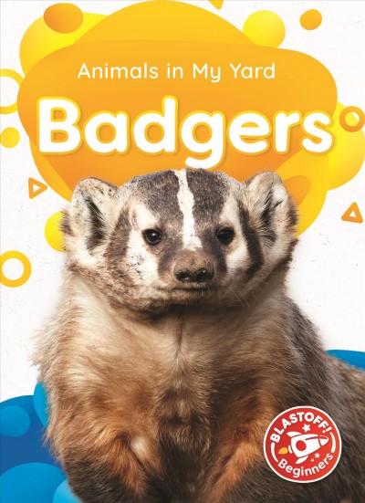 Badgers / by Amy McDonald.