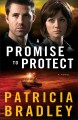 A promise to protect : a novel  Cover Image