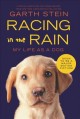 Racing in the rain : my life as a dog  Cover Image