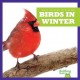 Go to record Birds in winter