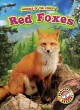 Red foxes  Cover Image