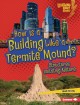 How is a building like a termite mound? : structures imitating nature  Cover Image
